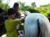 School Holiday Programme-Own A Pony Day